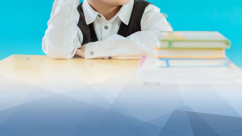 成都职业培训学员就业率排名：揭秘职业培训行业就业转化之道