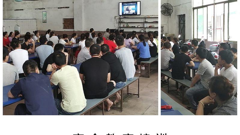 少儿编程课程体系标准化建设的必要性